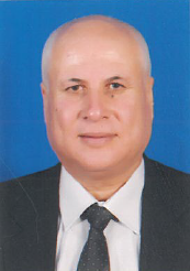 أ. د. علي أحمد منصور